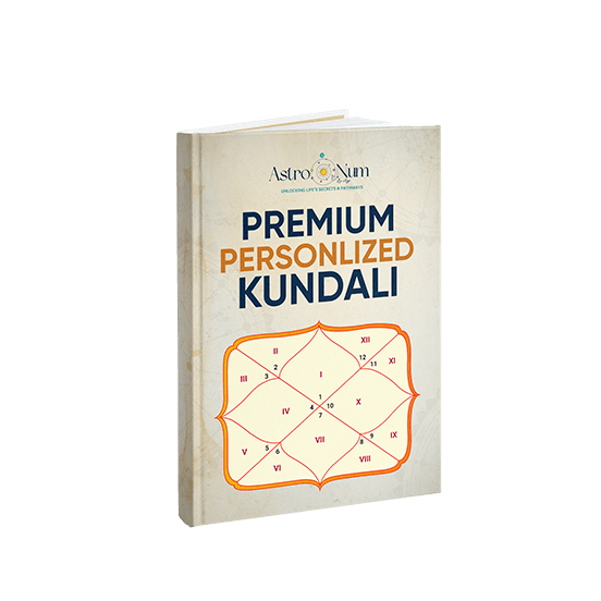 Premium Kundli report book